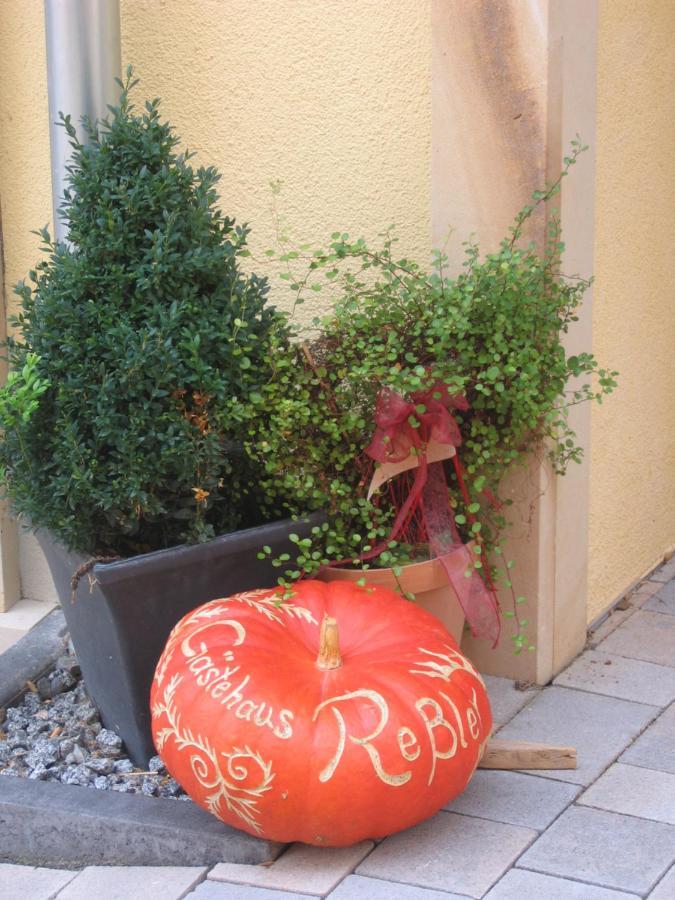 Gaestehaus Ressler Harxheim エクステリア 写真